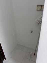 Castle Green (D26), Condominium #498748291